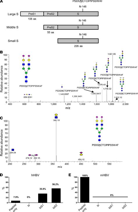 Figure 1 From SIGLEC 3 CD33 Serves As An Immune Checkpoint Receptor