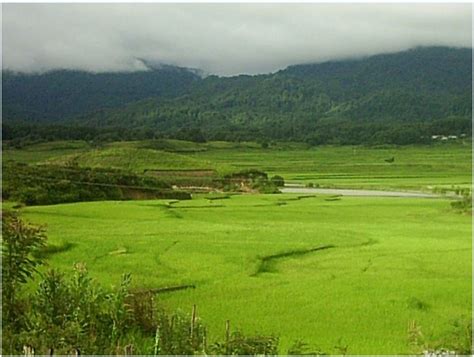 Ziro - Hill Station of Arunachal Pradesh