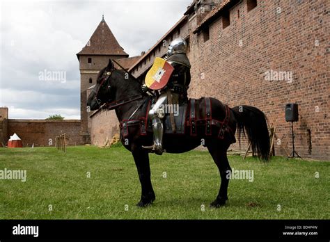 Proud Medieval Cavalry Knight On Military Horse Taken In Malbork