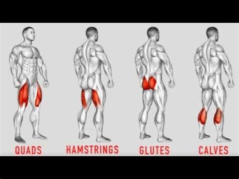 Best Glutes Hamstring Quadriceps Calves Exercises Fitness Tips