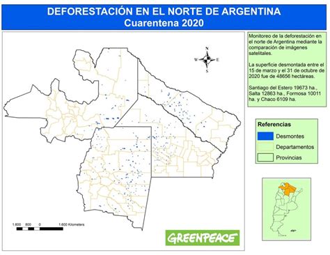 Deforestación Sin Cuarentena Se Arrasaron 50 Mil Hectáreas De Bosque