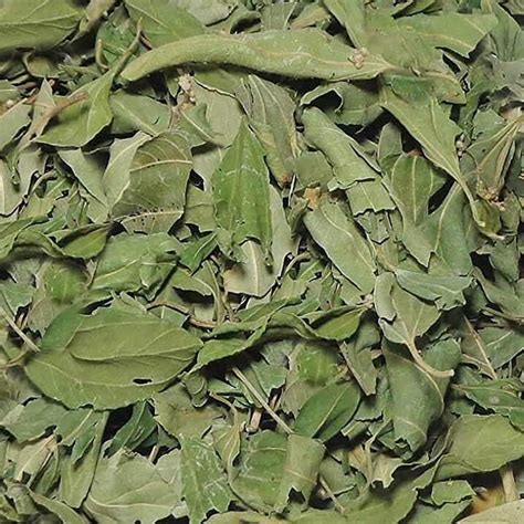 Dried Sidr Leaves - Moroccan spices