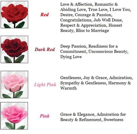 Rose Meanings Chart