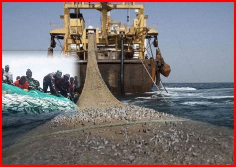 Afrique La P Che En Eaux Troubles Senegal