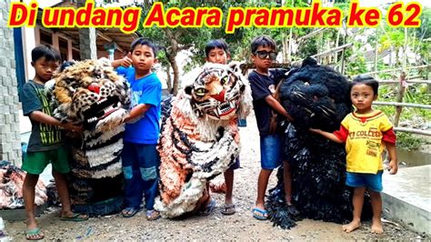 Can Macanan Singo Raung Cilik Di Undang Acara Hari Pramuka Ke 62 YouTube