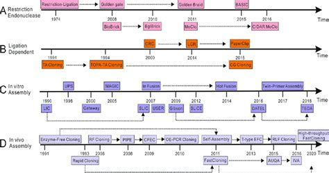 A timeline of molecular cloning techniques. The available cloning ...