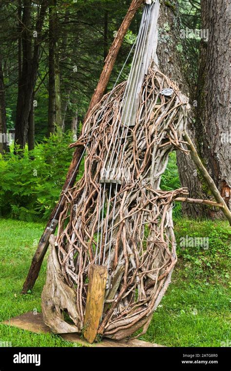 Wood Branch Sculpture Photo | Seoul Garden Decor