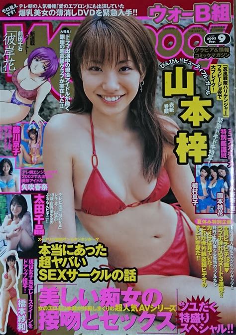 【やや傷や汚れあり】同梱可！ 山本梓 雑誌切り抜き 表紙＋グラビア 10pの落札情報詳細 Yahooオークション落札価格検索 オークフリー