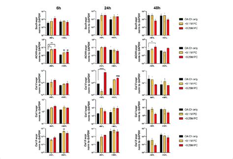 Expression Levels Of Chondrogenic Genes In Oa Chondrocytes At Different Download Scientific