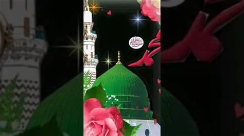 Allah Hu Akbar Shortvideo Allahhuakbar Islamic Beautiful 786