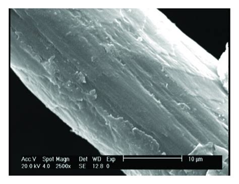 Sem Image Of Wool Fiber Surface Morphology A Untreated And B 2 And