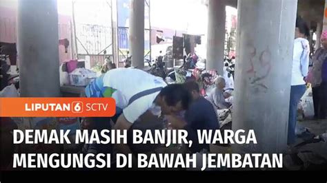 VIDEO Banjir Yang Melanda Demak Belum Surut Warga Masih Mengungsi Di