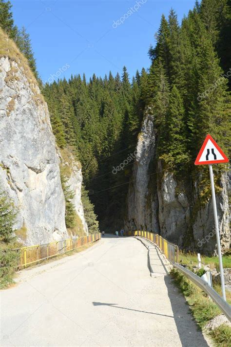 Macizo De Bucegi En Las Monta As De La Curva De Los C Rpatos