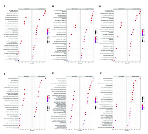 Gene Set Enrichment Analysis Gsea Was Performed To Analyze Hallmark