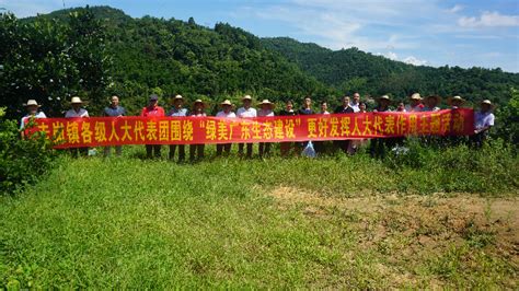 圭岗镇：开展“更好发挥人大代表作用”主题活动 阳春市人民政府门户网站