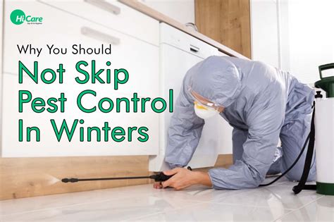 Why You Should Not Skip Pest Control In Winters Blogs On Pest Control