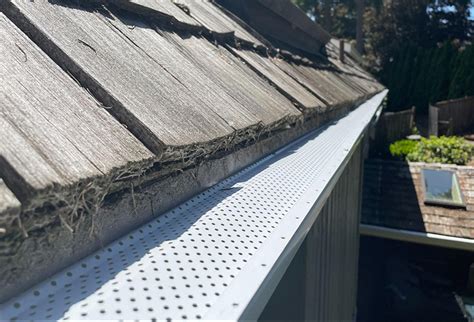 Types of Gutter Guards. Choosing The Right Option For Your Roof ...