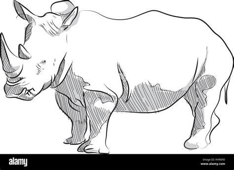 Vector Sketch Hand Drawing Illustration Of Rhino Standing Stock Vector