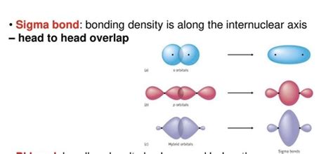 Module 5 Molecular Orbitals Flashcards Quizlet