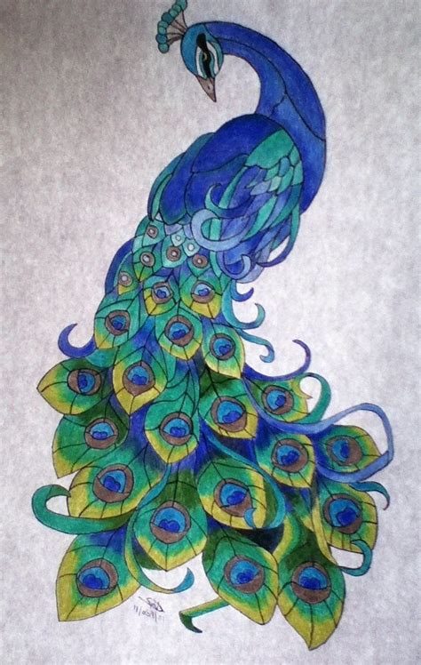 Beautiful Peacock Drawing At Getdrawings Free Download