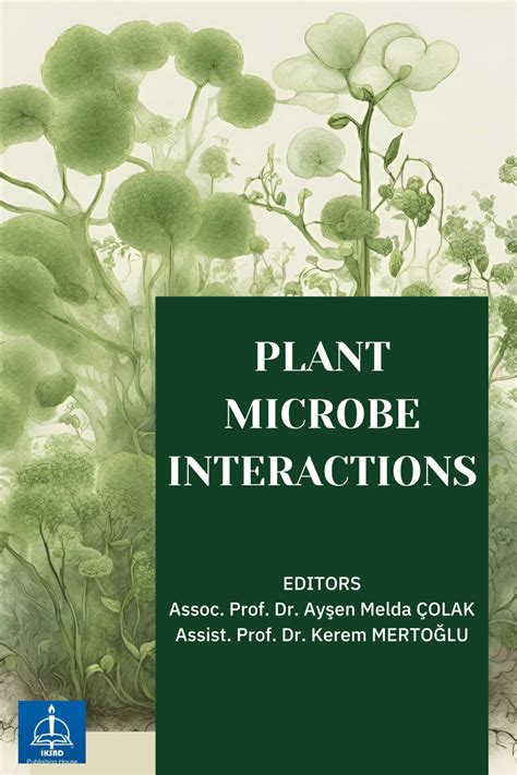 Pdf Legume Leguminosae Microorganism Rhizobium Relationships