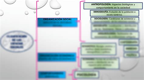 Solution Clasificaci N De Las Ciencias Sociales Studypool