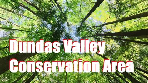 Dundas Valley Conservation Area YouTube