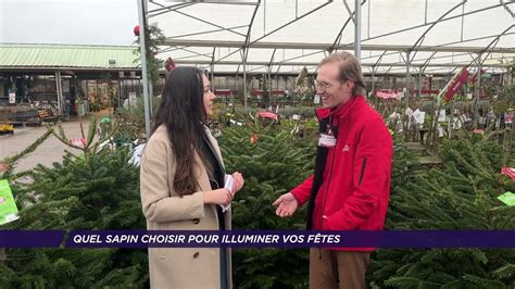 Yvelines Quel sapin choisir pour illuminer vos fêtes tv78