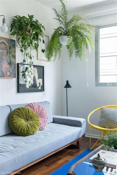 11PLANTAS PARA SALA Espécies e Fotos Lindíssimas