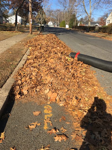 Spring & Fall Cleanups – G.S. Lawn Svc & Landscaping, LLC