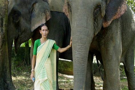 Father Said It Was Male Dominated Job India S First Female Elephant