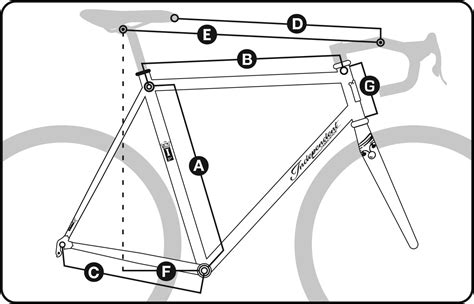 Custom Order Guide | Independent Fabrication