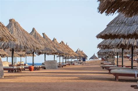 Plage De Sable De Luxe Avec Chaises De Plage Et Parasols De Paille Dans