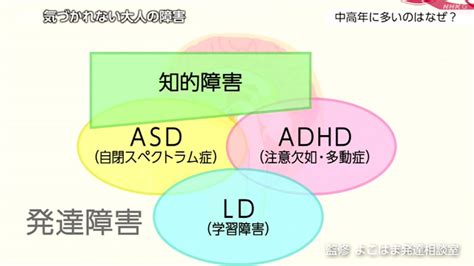 気づかれない大人の発達障害・知的障害 理解と支援に大切なことは Nhk クローズアップ現代 全記録