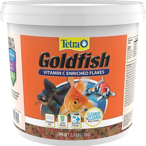 Black Moor Goldfish Care Guide Diet Breeding Diseases