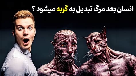 تناسخ چیست؟ آیا انسان بعد از مرگ تبدیل به حیوان یا گیاه و می‌شود