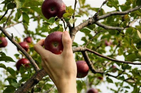 LAlma Mater Al Macfrut 2023 Il Futuro Del Settore Agroalimentare Tra