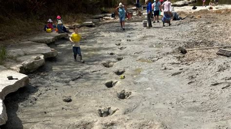 Impresionante la sequía deja ver unas enormes huellas de dinosaurios