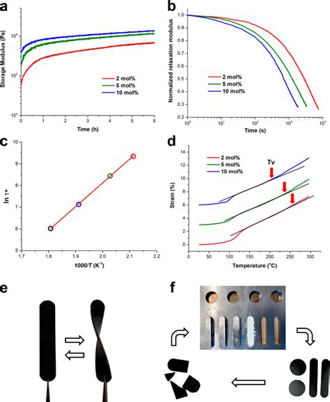 A Monitoring Restoring The Dynamical Network B Stress Relaxation