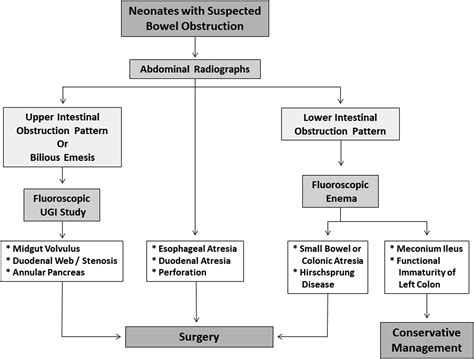 Neonatal and Pediatric Bowel Obstruction | Radiology Key