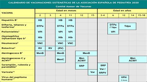 Vacuna Contra el Meningococo Calendario de Vacunación