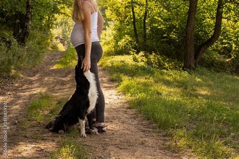 Foto De Pregnant Blond Woman With A Dog On A Forest Path A Pregnant