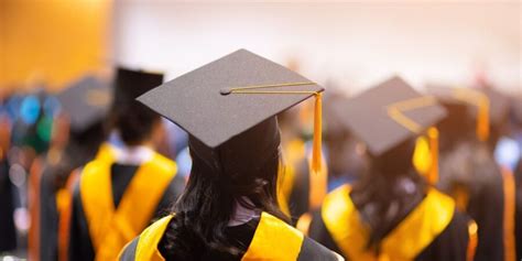 college  university whats  difference  fact site