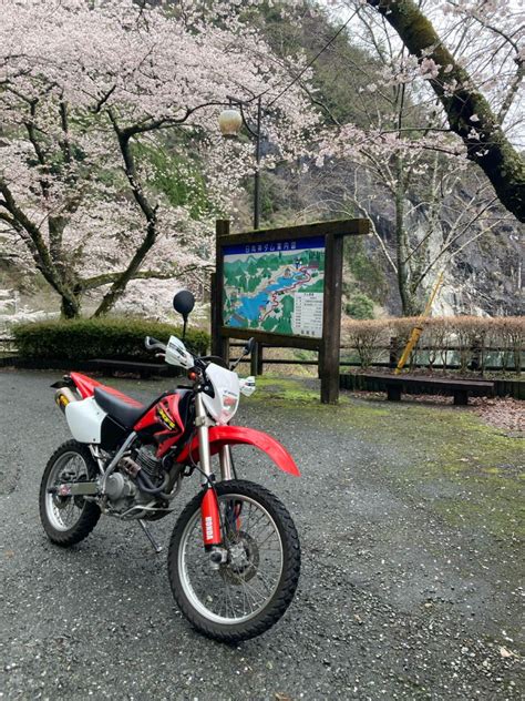 カエルさんの投稿したツーリング情報 無職の旅は続きます（笑 今日は昼から八女 ｜バイクのカスタム ツーリング情報ならモトクル Motocle