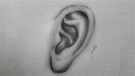 How To Draw Realistic Ear For Beginner Simple Way To Draw Earbest