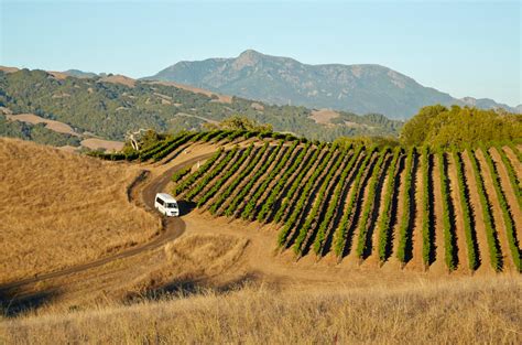 Top Healdsburg Wineries To Visit Decanter