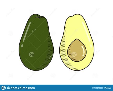 Aguacate Fresco Completo Y Reducido A La Mitad Ilustraci N Del Vector