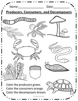 Worksheet Producers Consumers Decomposers