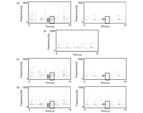 Spectrograms Of Signals With Reverberation A Source Signals B Download Scientific Diagram