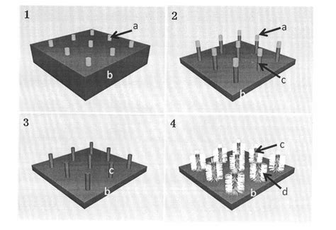 Preparation Method Of Super Hydrophobic Surface Eureka Patsnap